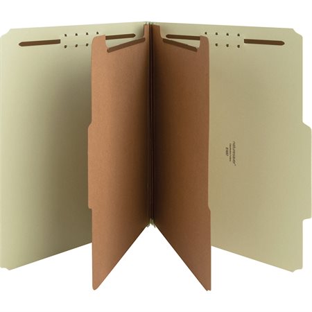 Pressboard Classification Folders Letter size 2 dividers - grey / green