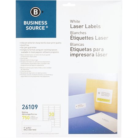 Premium Mailing Labels Package of 25 sheets 1 x 2-5 / 8 in. (750)