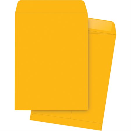 100/bte enveloppe kraft 9.5x14.75 - Enveloppes
