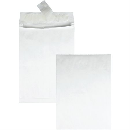 Expansion Envelope 12 x 16 in. With 2 in expansion
