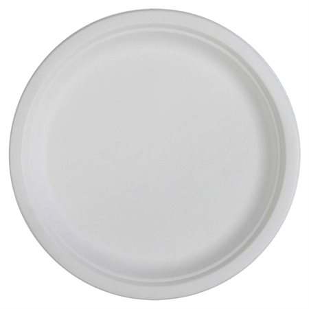 Compostable Dishes Assiettes 10 in.