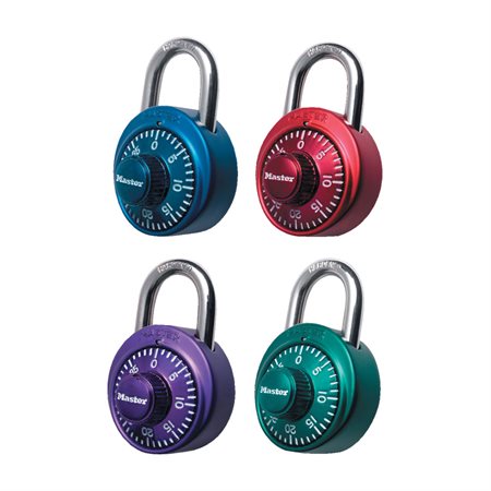 PROSAFE 310 mini cadenas à combinaison