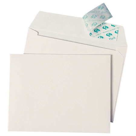 Redi-Strip™ Envelope 5.75  x 8.75 in