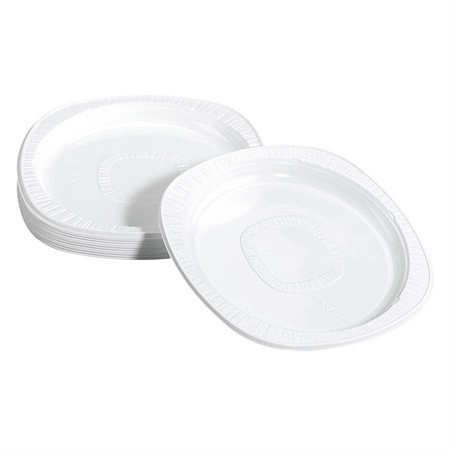 Plastic Plates Package of 125 6"