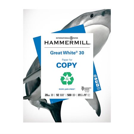 Great White® 30 Recycled Copy Paper letter