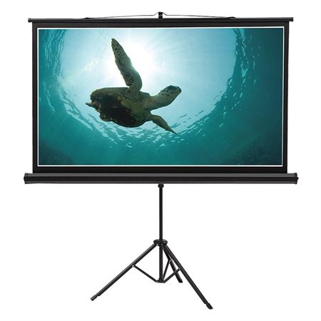 Wide Format Wall Mount Projection Screen 52 x 92"