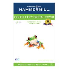 Hammermill  Color Copy Cover 100 lb tabloïd