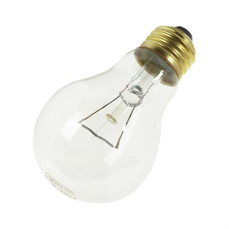 Incandescent Bulb