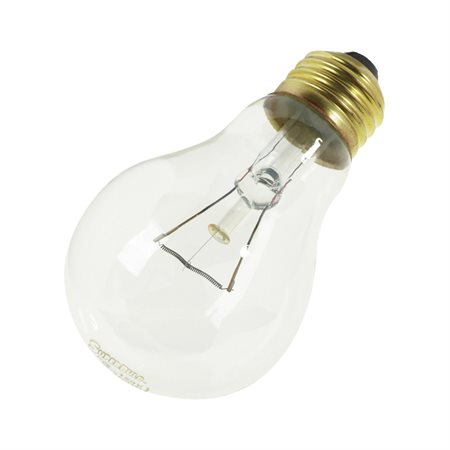 Ampoule incandescente