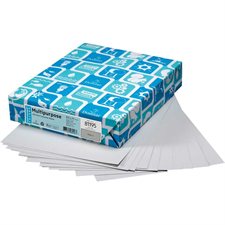 Lettermark® Multipurpose Coloured Paper Letter Size - 8-1/2 x 11" grey