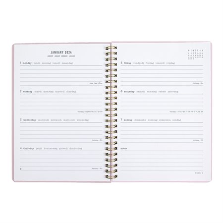 Letts® Celebrate Weekly Planner (2025) pink