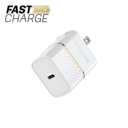 Premium Fast Charge USB-C Wall Charger white
