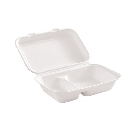 Hinged Lid Container 2 compartments