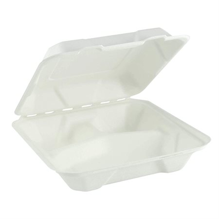 Hinged Lid Container 3 compartments 8 x 8 in.