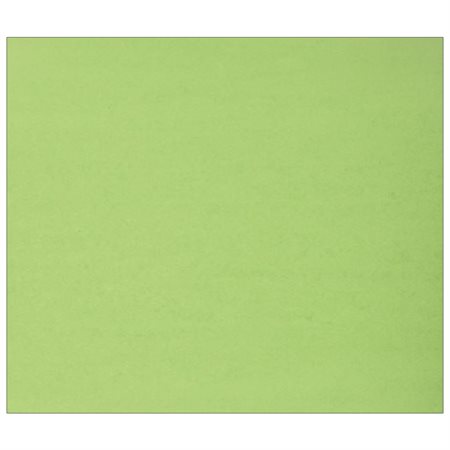Colour Cardstock green