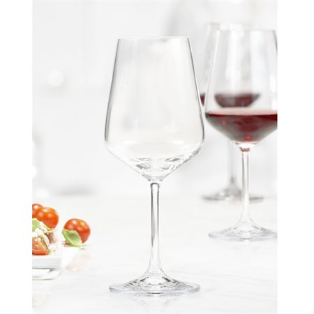Set of 4 red wine glasses Splendido 450 ml