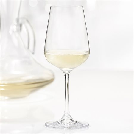 Set of 4 white wine glasses Splendido 360 ml