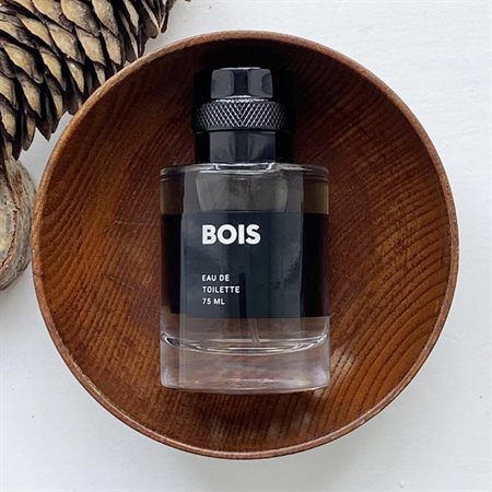 Men's fragrance water - Wood