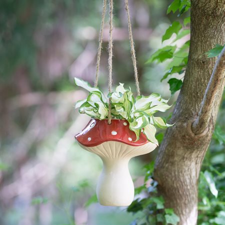 Mushroom hanging planter