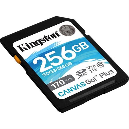 KINGSTON CANVAS GO! MICRO SD CARD PLUS 256GB