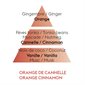 Recharge pour lampe Berger "Orange de cannelle"