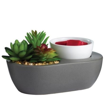 Artscents diffuser with succulents